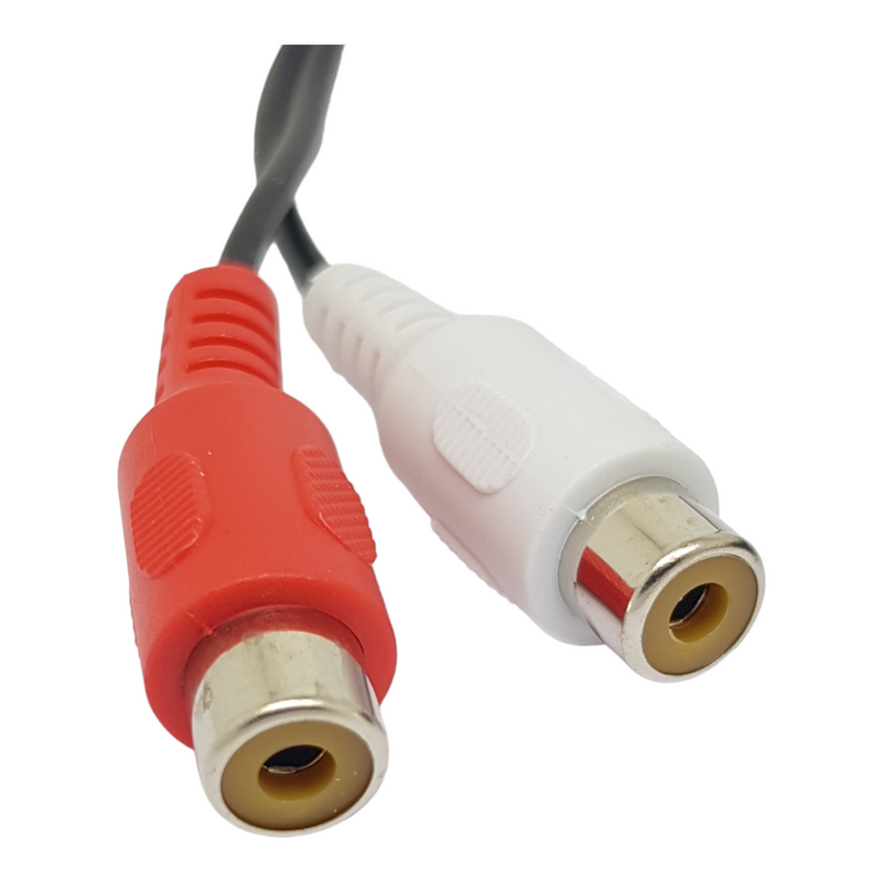 0.2m 5 Pin Din Male Plug to Twin RCA Phono Sockets Adapter Cable